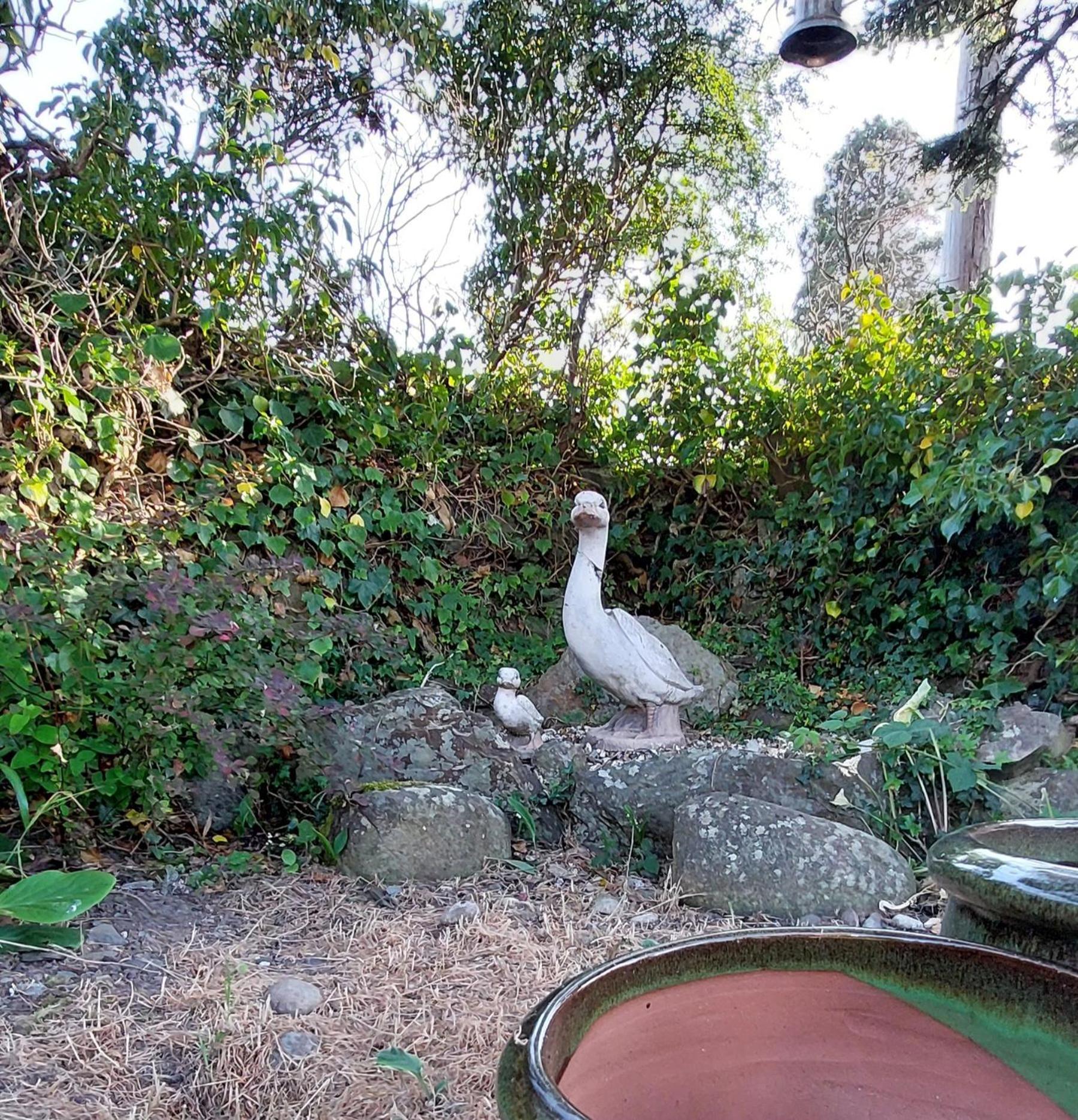 Glyn Isa Country House B&B And Self Catering Apartments Conwy Esterno foto
